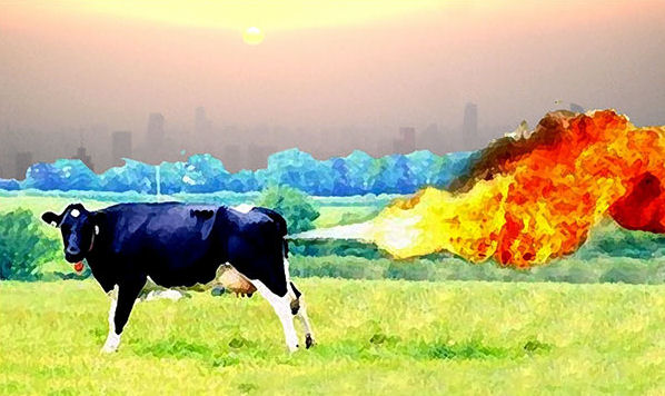 Cow emitting methane - New Zealand's record not something to be proud of